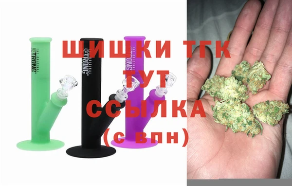 прущие грибы Аркадак