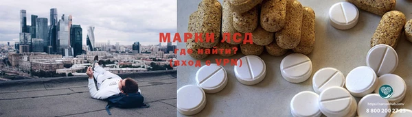 прущие грибы Аркадак