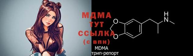 прущие грибы Аркадак