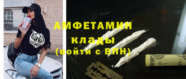 прущие грибы Аркадак